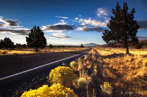 Hwy 31 south, Oregon-3749